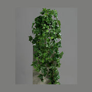 Zöld színű borostyán csüngő műnövény.