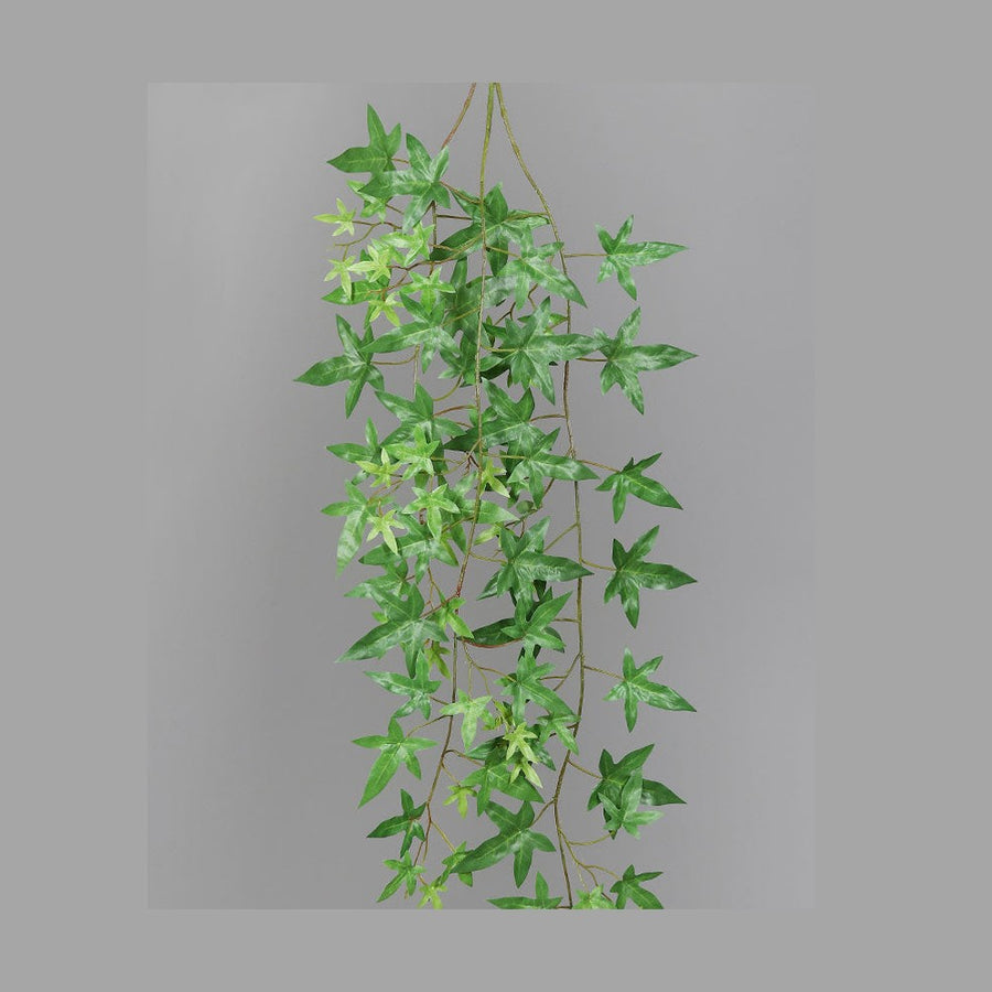 Zöld színű borostyán csüngő műnövény.