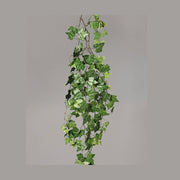 Zöld színű borostyán csüngő műnövény.