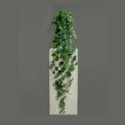 Zöld színű borostyán csüngő műnövény.