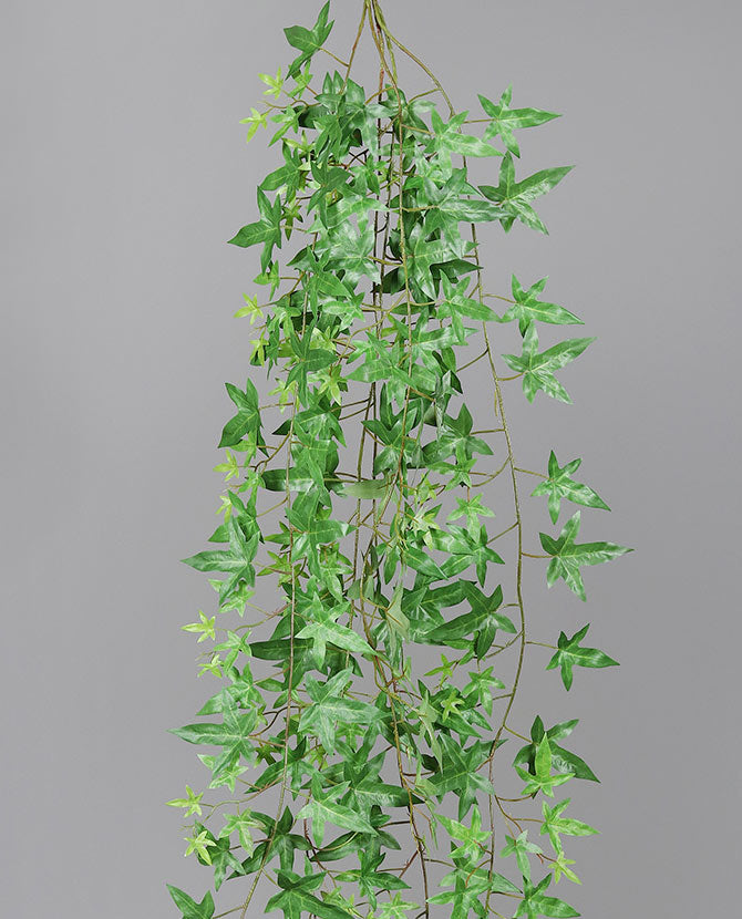 Zöld színű borostyán csüngő műnövény.
