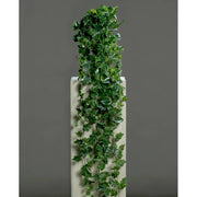 Borostyán csüngő műnövény.