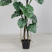 Mű filodendron növény, fekete műanyag cserépben.