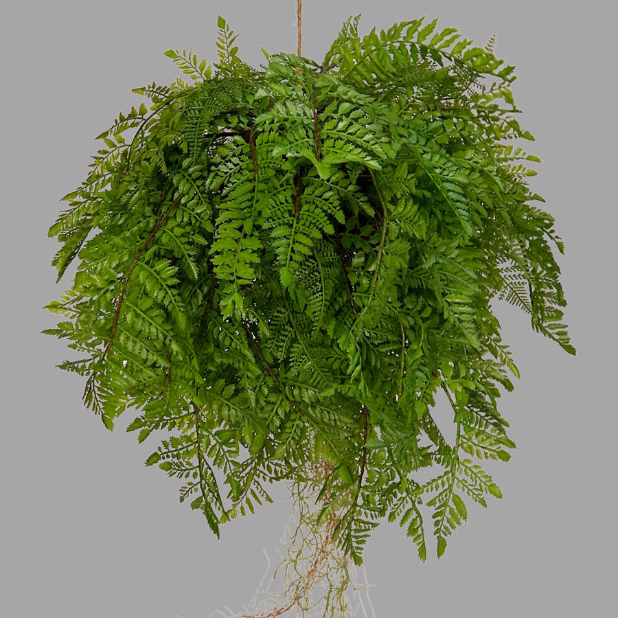 Nagy páfránylabda műnövény .