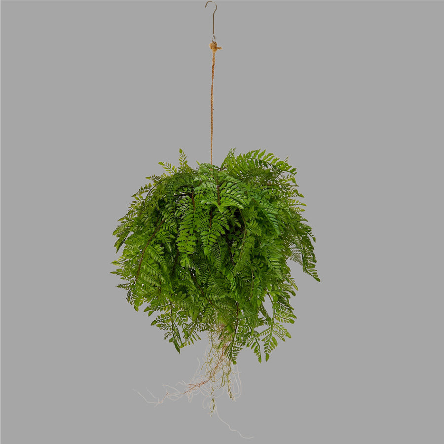 Nagy páfránylabda műnövény .