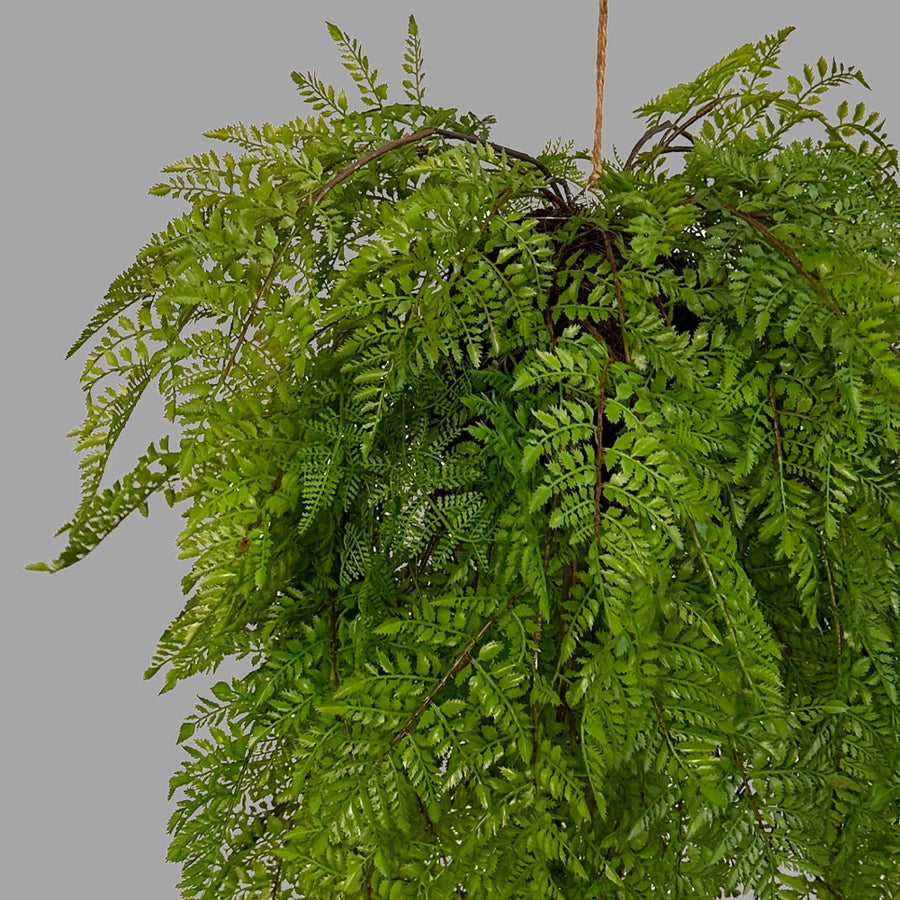 Függeszthető kialakítású, páfránylabda műnövény.