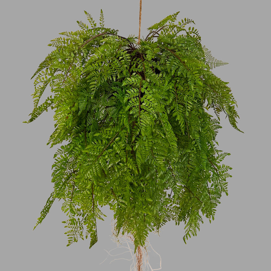 Függeszthető kialakítású, páfránylabda műnövény.