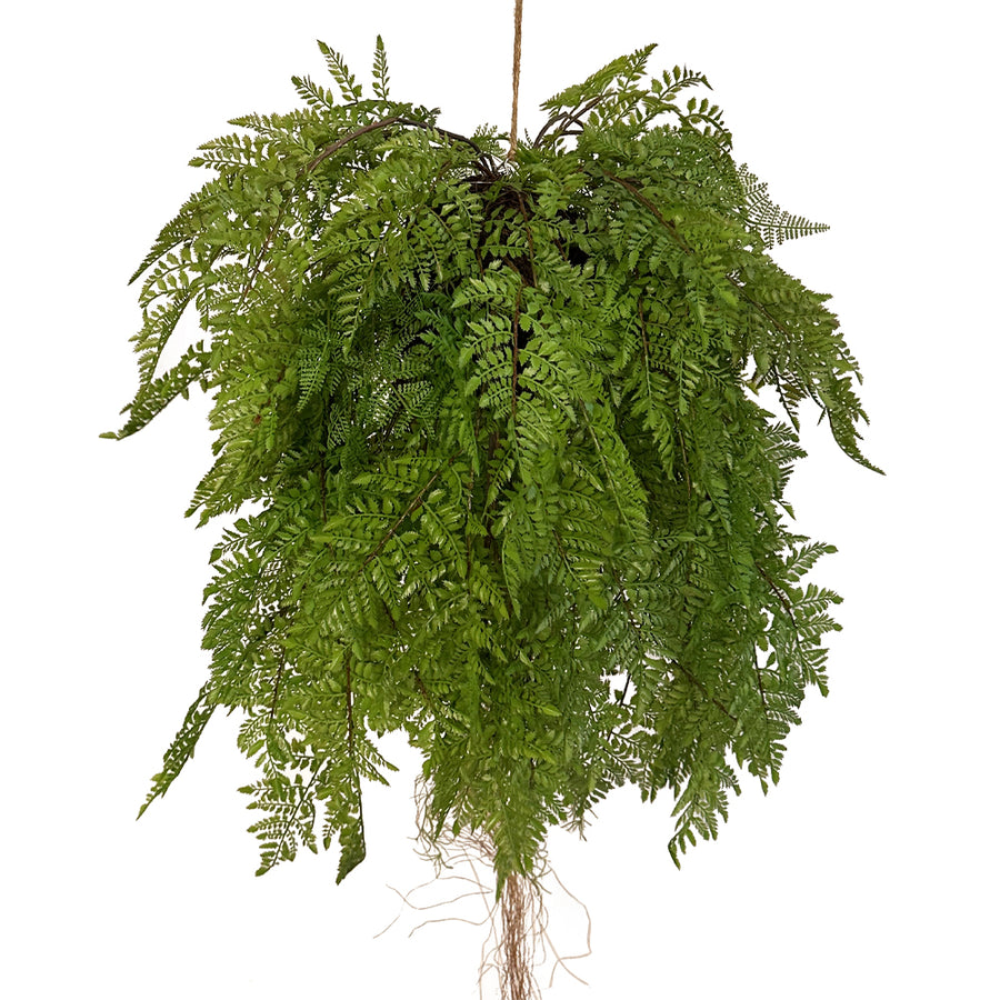 Függeszthető kialakítású, páfránylabda műnövény.