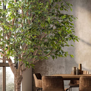 Óriás méretű mű fikusz fa.