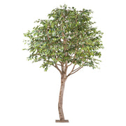 Óriás méretű mű fikusz fa.