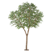 Óriás méretű mű fikusz fa.