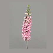Óriás mű gyűszűvirág 120 cm pink "Digitalis"