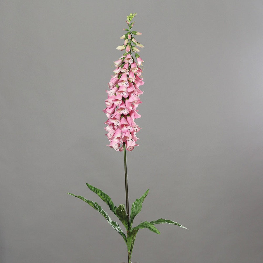 Óriás mű gyűszűvirág 120 cm pink "Digitalis"