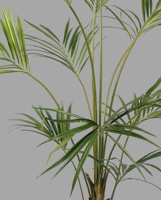 Óriás méretű, 210 cm magas, kencia pálma műnövény.