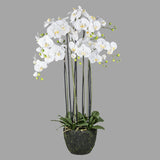 Fehér színű mű orchidea, mesterséges földlabdában.