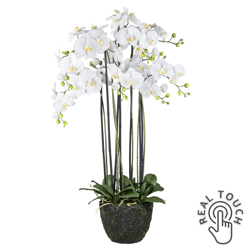 Fehér színű mű orchidea, mesterséges földlabdában.