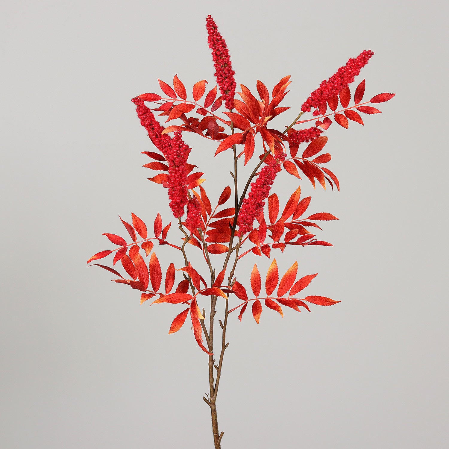 Piros színű mű őszi bogyós lombhullató ág-