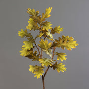 Hervadó levelű mű tölgyfa ág.