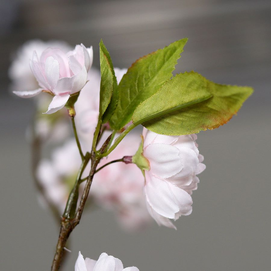Virágzó mű cseresznyefa ág, halvány rózsaszín színű nyílt és bimbós virágokkal.