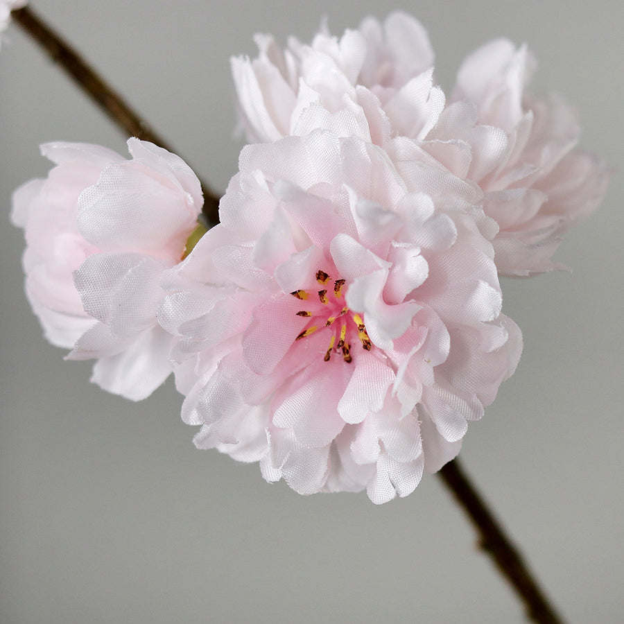 Virágzó mű cseresznyefa ág, halvány rózsaszín színű nyílt és bimbós virágokkal.