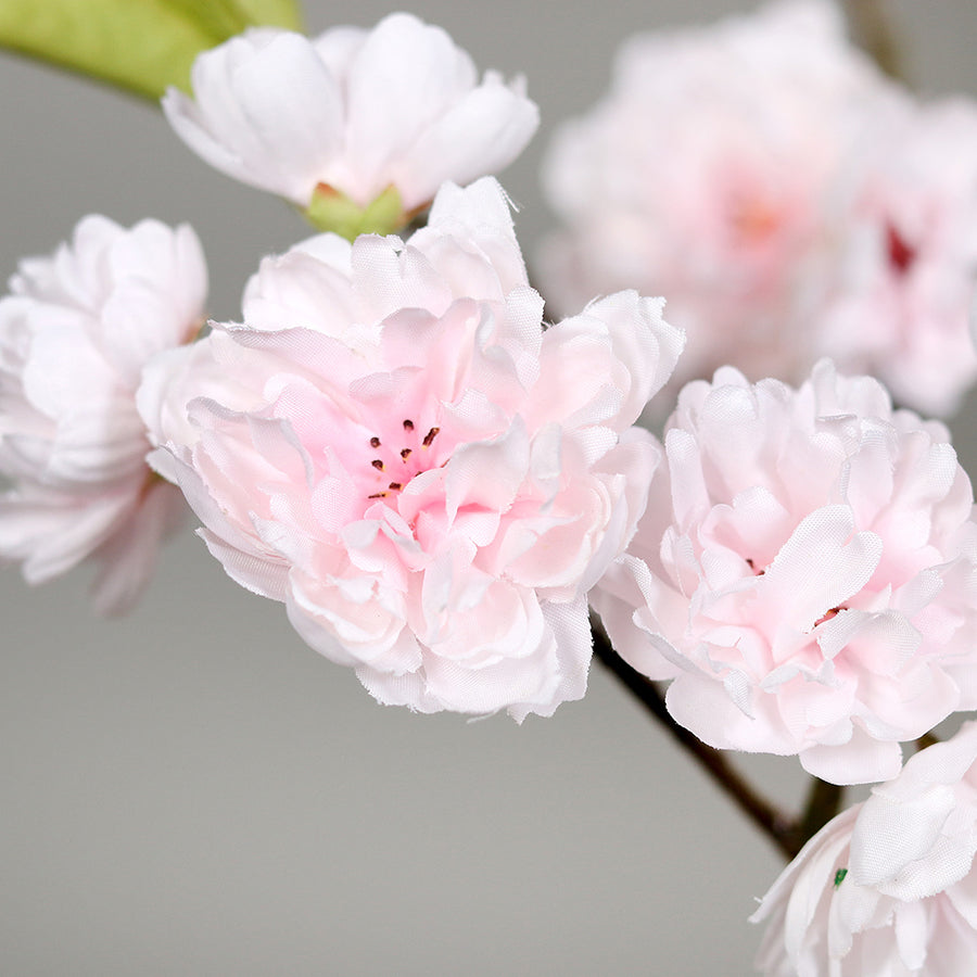 Virágzó mű cseresznyefa ág, halvány rózsaszín színű nyílt és bimbós virágokkal.