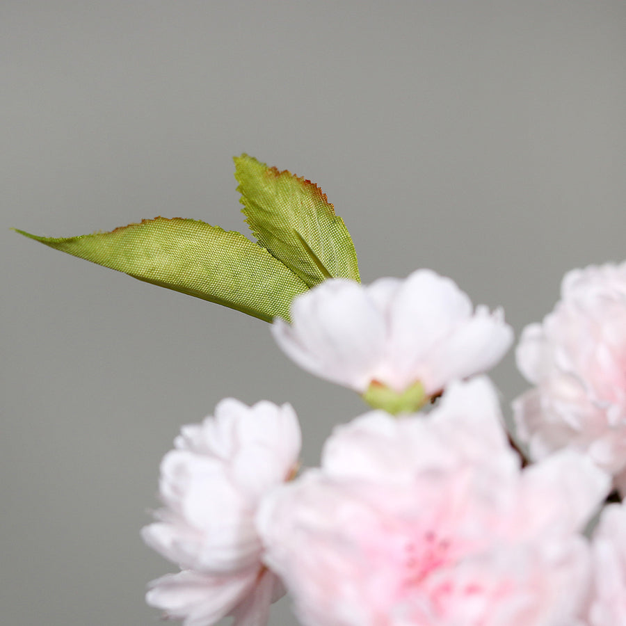 Virágzó mű cseresznyefa ág, halvány rózsaszín színű nyílt és bimbós virágokkal.