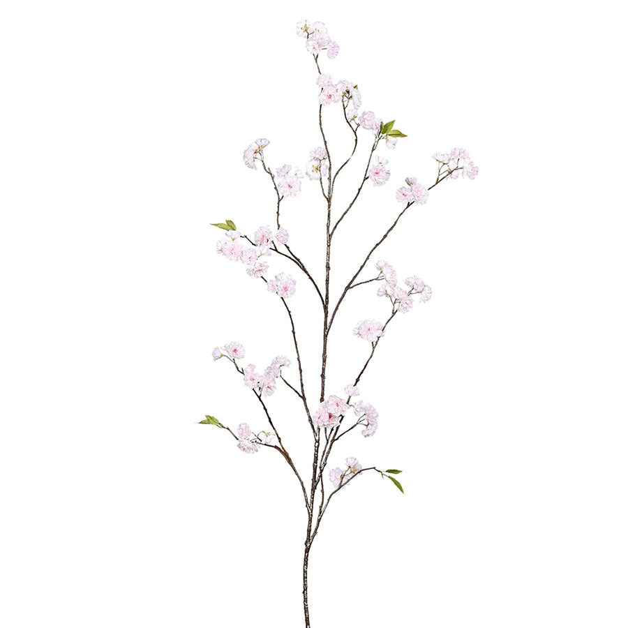 Virágzó mű cseresznyefa ág, halvány rózsaszín színű nyílt és bimbós virágokkal.