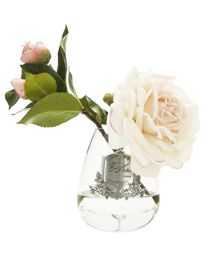 Prémium minőségű, krém színű, bazsarózsa illatú parfümös tearózsa kompozíció díszdobozban