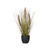 PENNISETUM barna mű tollborzfű 42 cm fekete kaspóban