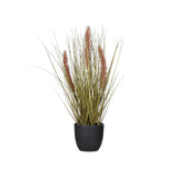 PENNISETUM barna mű tollborzfű 42 cm fekete kaspóban