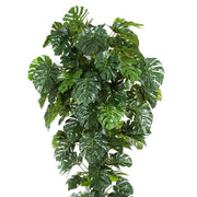 Élethű, gazdag zöld levelekkel rendelkező óriás filodendron.