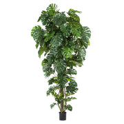 Óriás méretű 280 cm-es mű filodendron növény fekete cserépben.