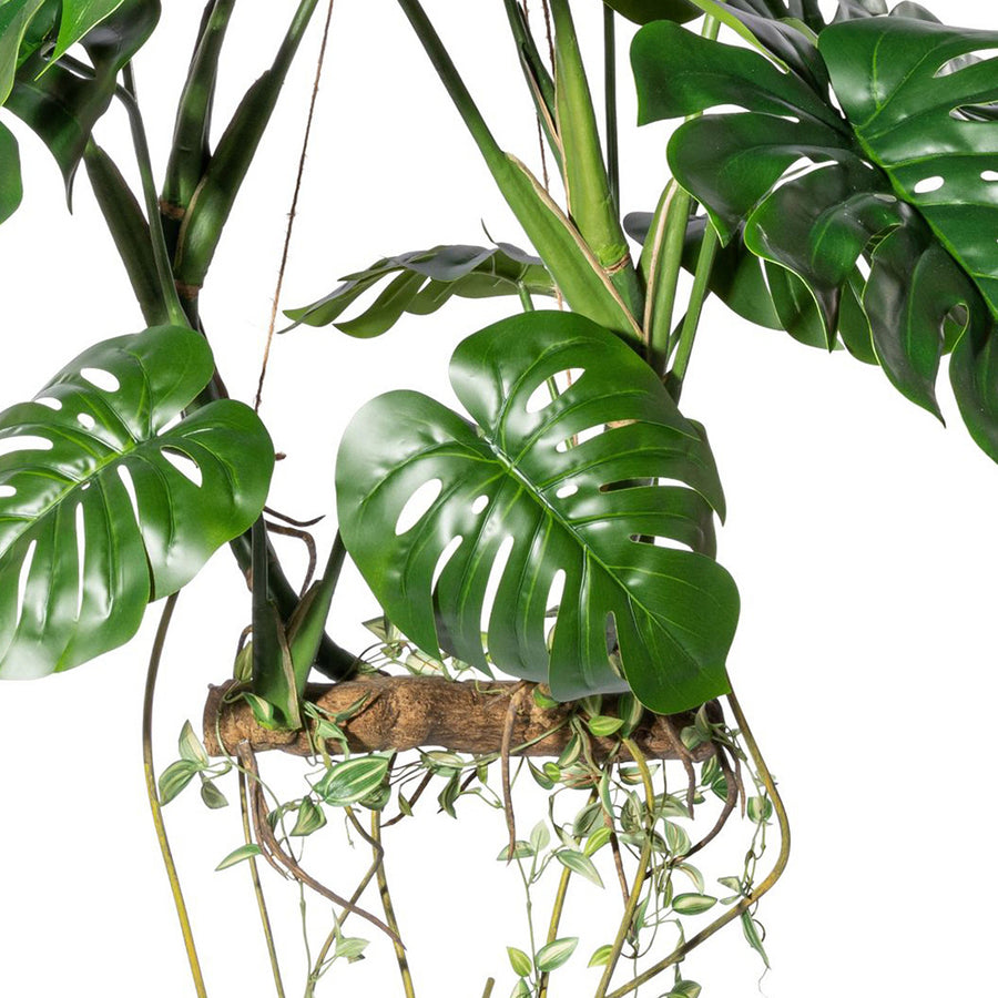 Mű filodendron levelek és indák közelről, realista kidolgozással.