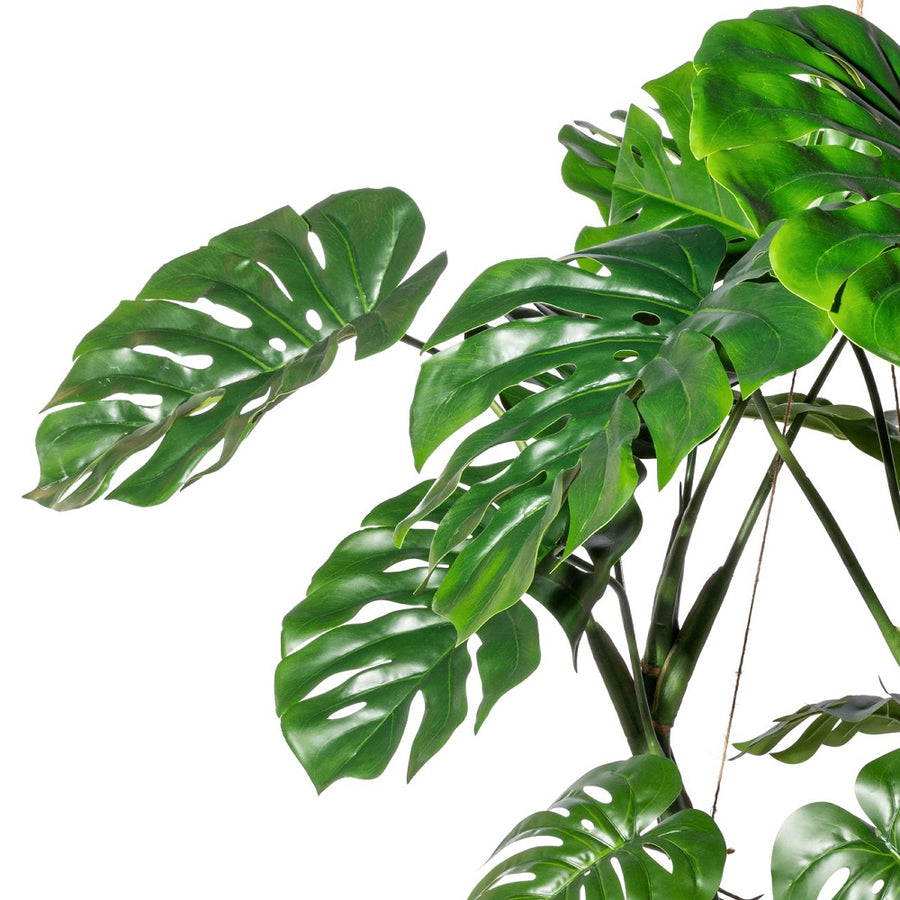 Zöld mű filodendron levelek és indák oldalnézetből.