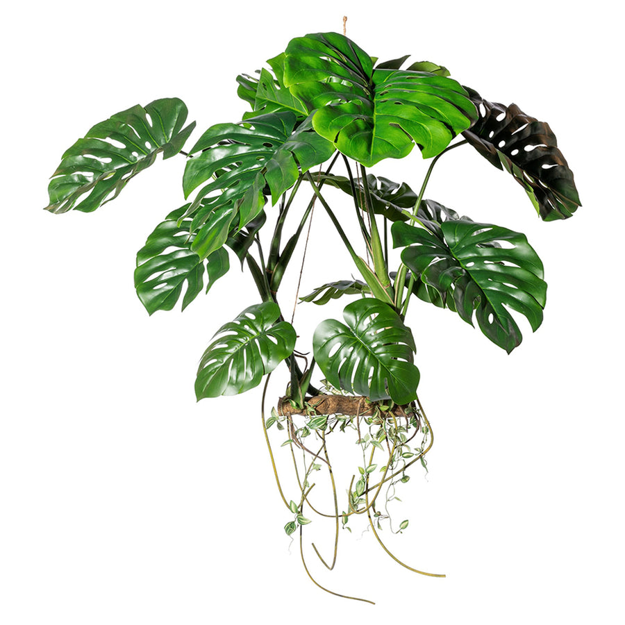 Függeszthető 100 cm magas mű filodendron kompozíció élethű levelekkel és légzőgyökerekkel.