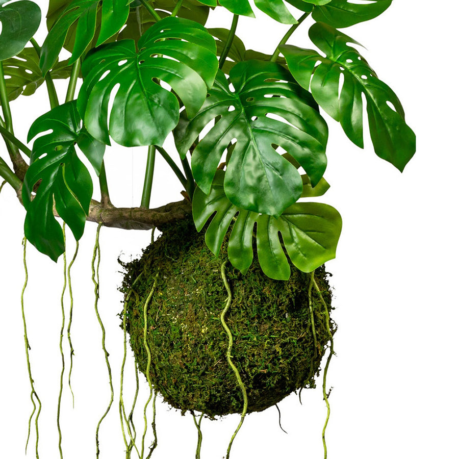 Függeszthető mű filodendron kompozíció.