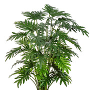 Kardszárnyú filodendron élethű zöld levelei közelről, részletgazdag textúrával