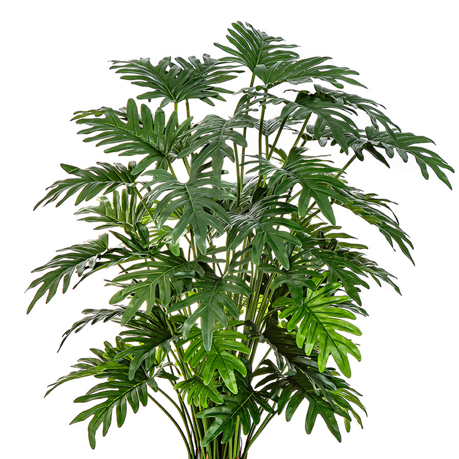 Kardszárnyú filodendron élethű zöld levelei közelről, részletgazdag textúrával