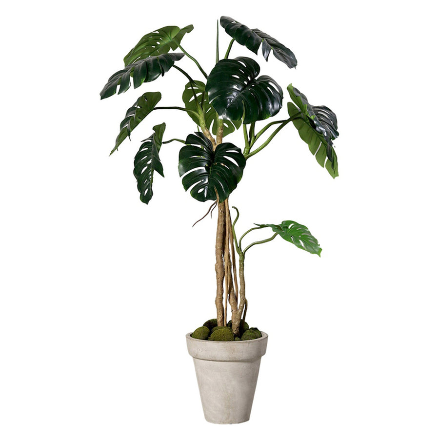 160 cm magas, élethű mű filodendron fekete ültetőcserépben.