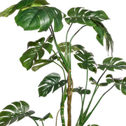 Részletfotó a mű filodendron dús zöld leveleiről.