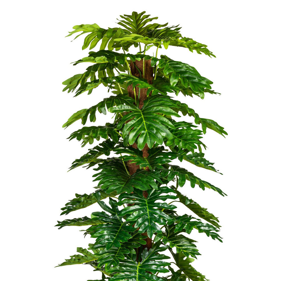 Mű filodendron 190 cm magas, trópusi hangulatot árasztó dekoráció beltéri térben.