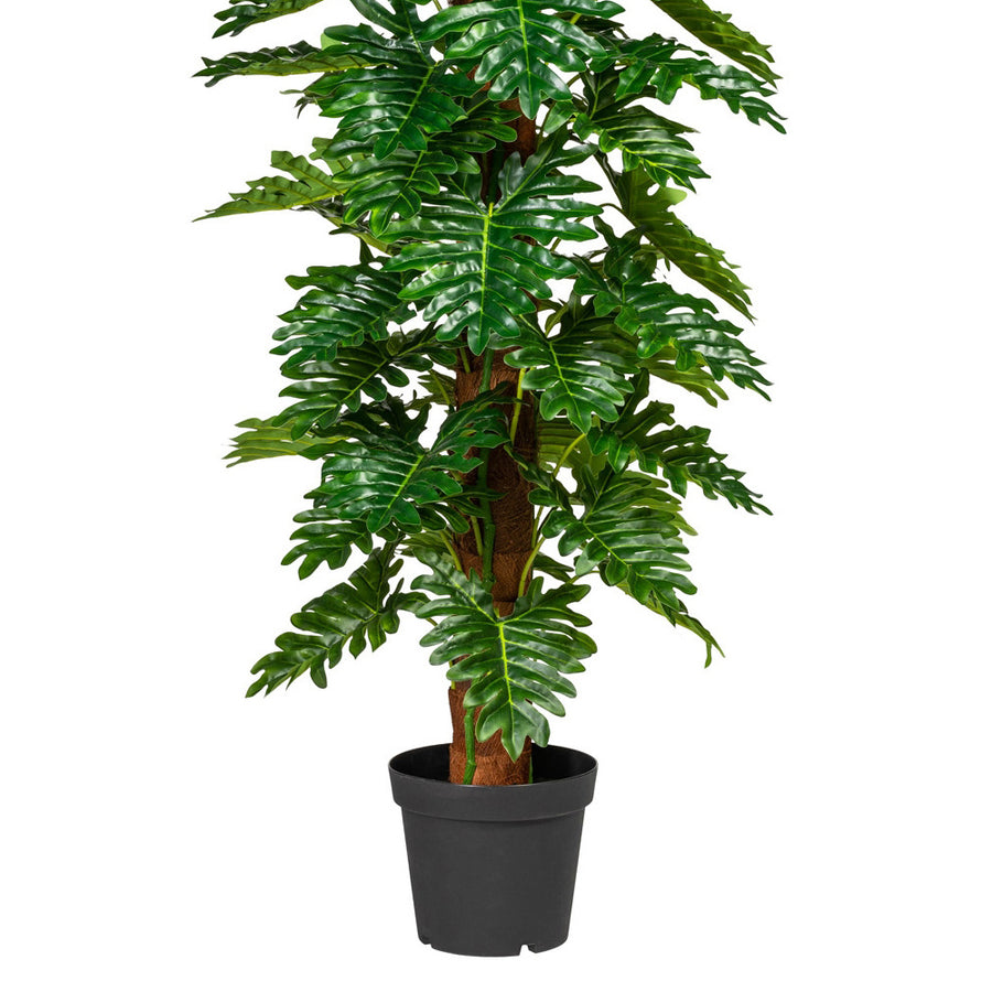 Filodendron műnövény részletfotó, különböző méretű fényes zöld levelekkel.