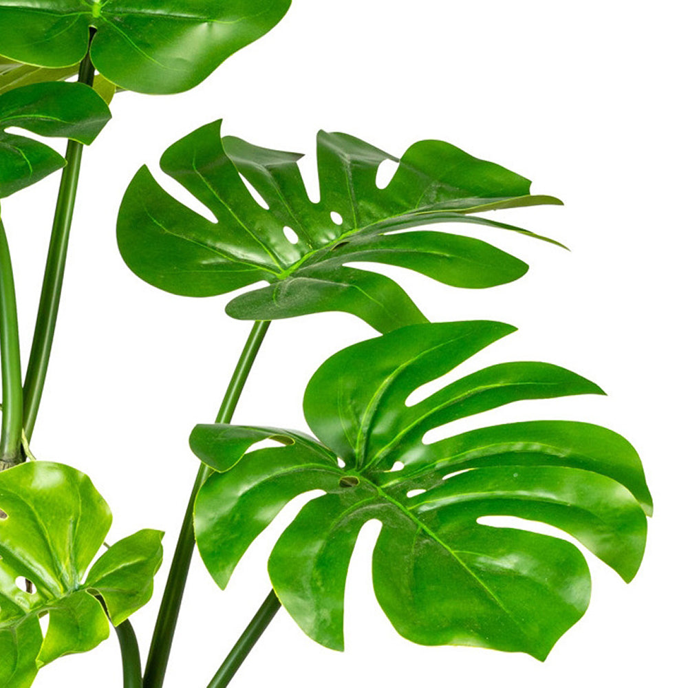 Filodendron műnövény levelei közelről, fényes felülettel.