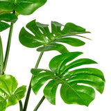 Filodendron műnövény levelei közelről, fényes felülettel.