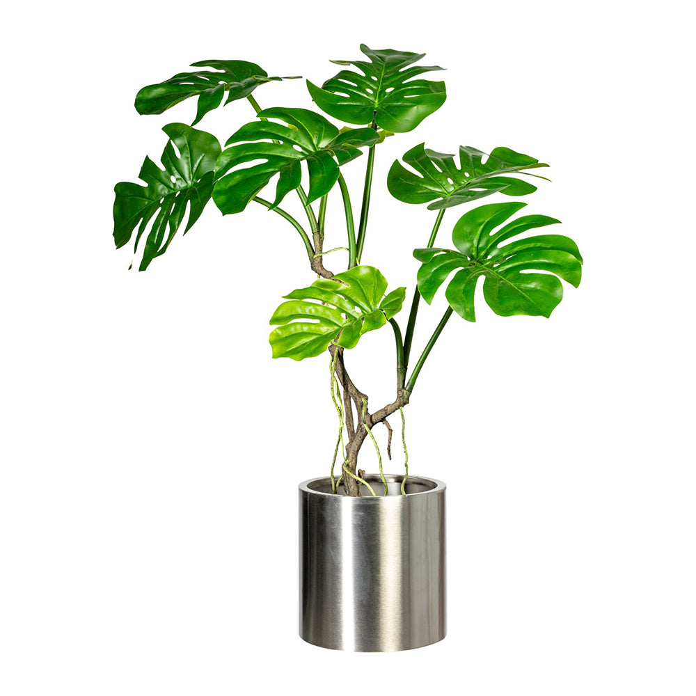 Mű filodendron dekorációs növény modern fém kaspóban elhelyezve.