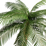 Phoenix Palm óriás mű datolyapálma részletfotó a sűrű, hosszú, zöld pálmalevelekről.