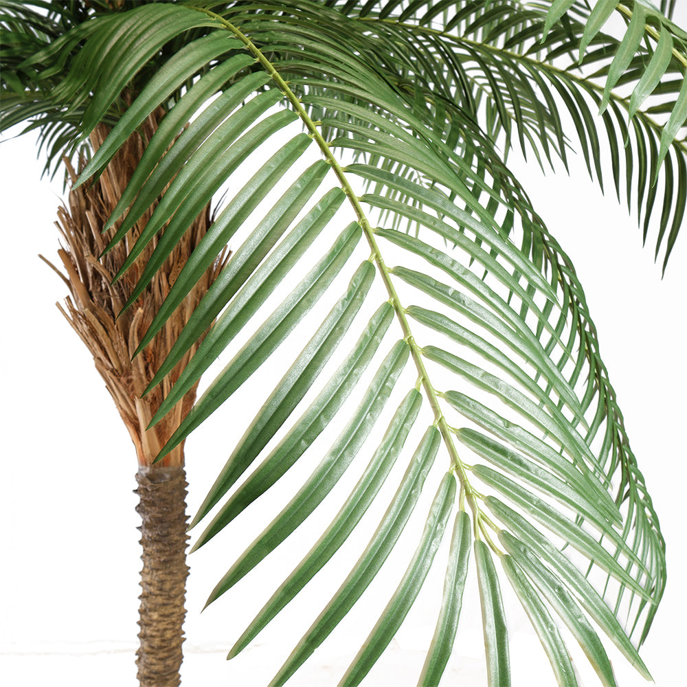 Phoenix Palm mű datolyapálma közelről fotózva, élethű levéltextúrával.