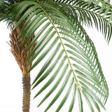 Phoenix Palm mű datolyapálma közelről fotózva, élethű levéltextúrával.