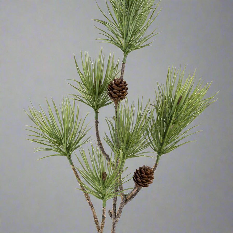 Tobozokkal díszített zöld színű, mű feketefenyő ág .