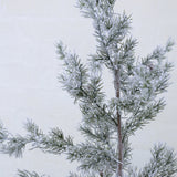 PINE zöld havas dekor műfenyő 120 cm 3D